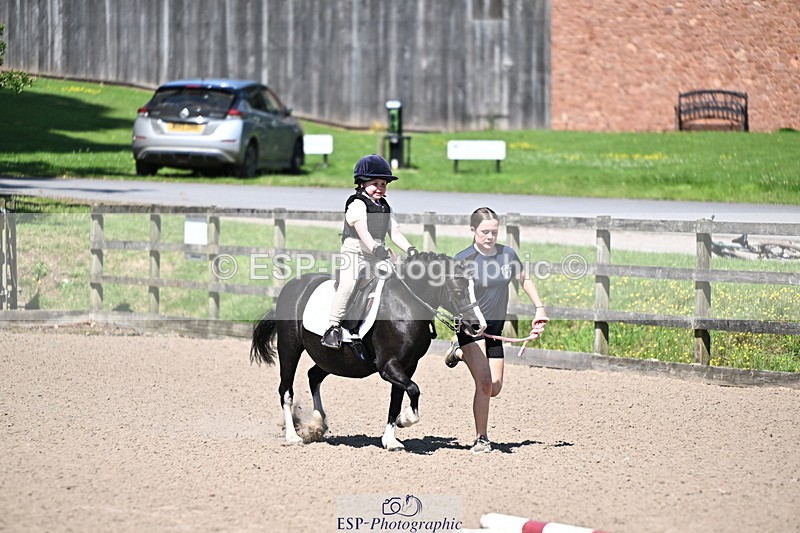 240729B-112938-02398 - Showjumping Competition