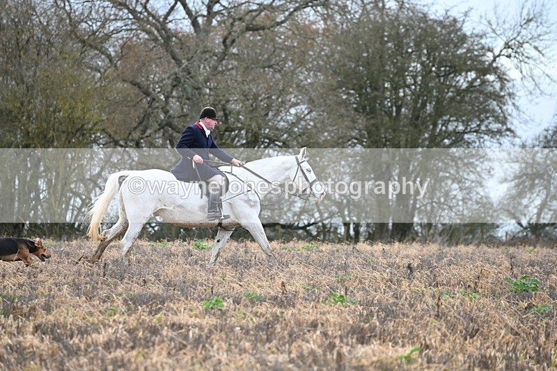 WJ6_9475 - Line Four