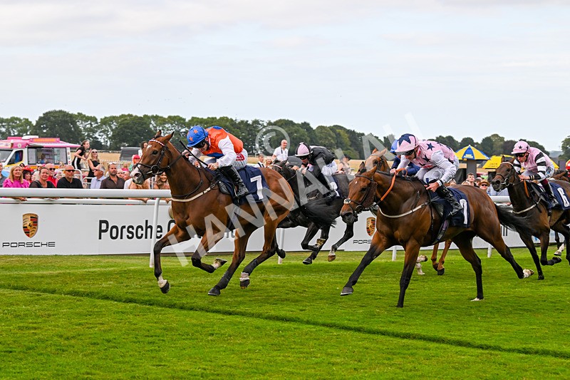 140824-Race 7-Willolarupi-7153 - Race 7