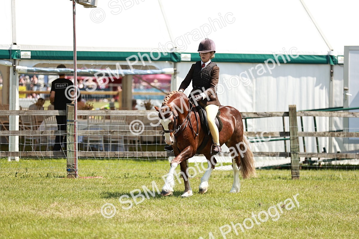 SBM_15513 - Class 108-109 - BSPS LIHS Open Gradle & Nursery Stakes