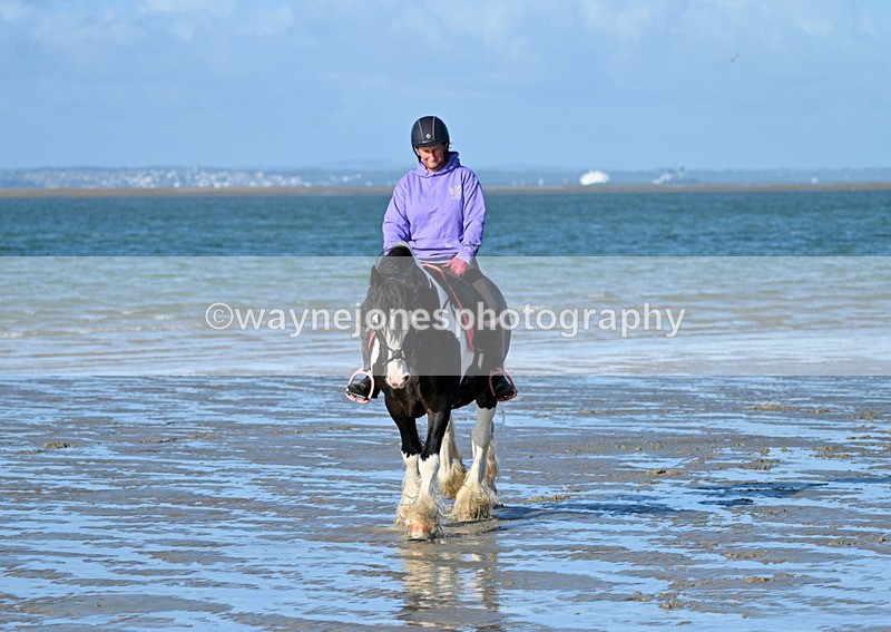 WJ7_2763 - Kellie & Churchill ... do Hayling Island 25-08-24