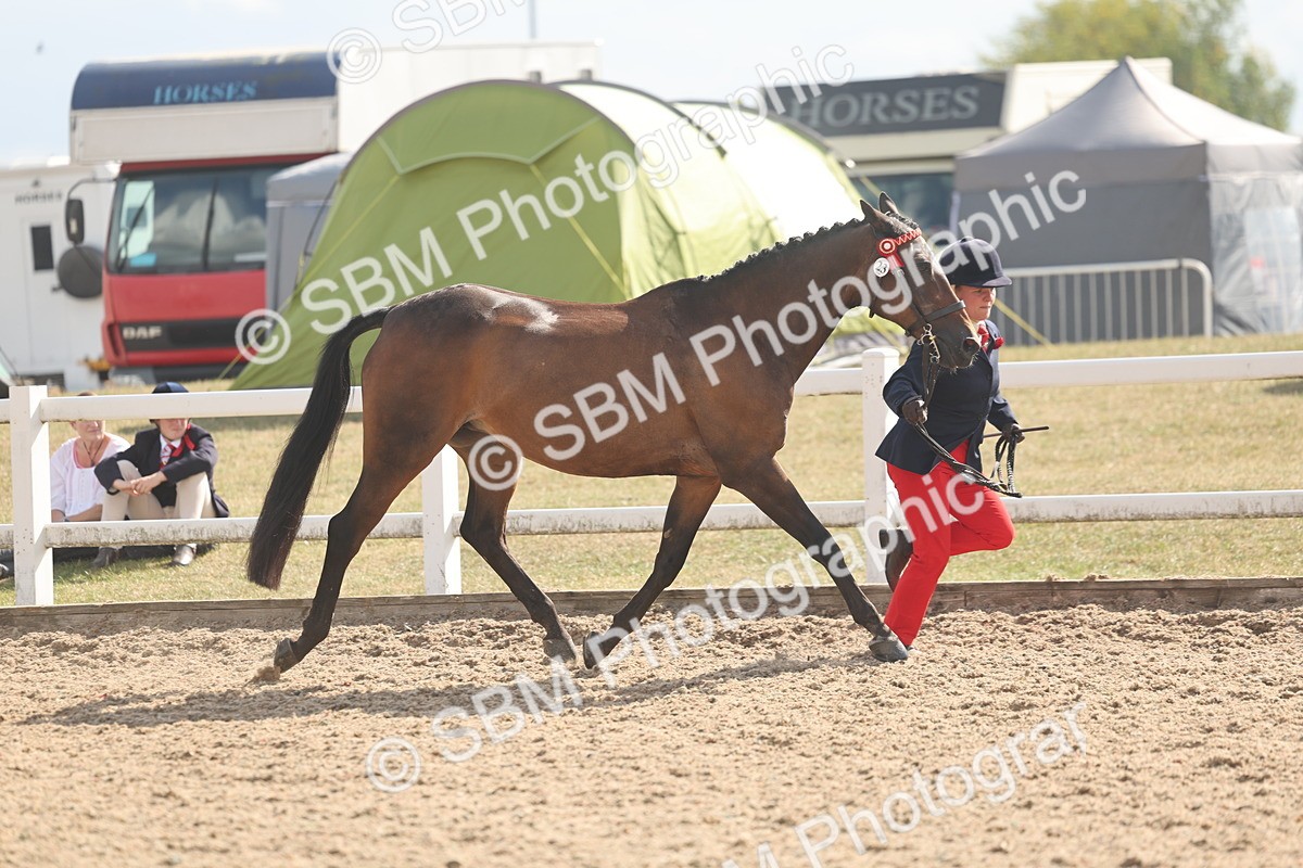 SBM_06853 - Class 25 - IH Foreign Breeds - Purebred