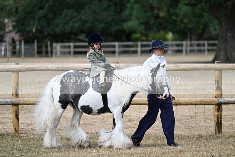 WJ7_6341 - Class 1 Lead Rein Pony