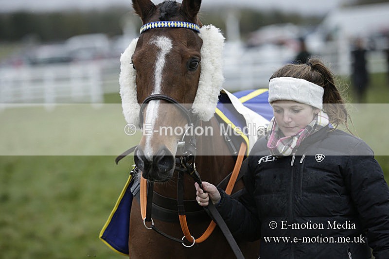 PtP 150320 0253 - New Forest Point-to-Point Larkhill 15/03/20