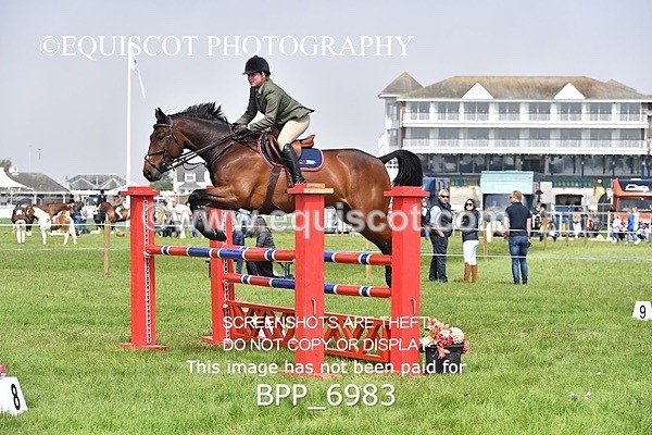 BPP_6983 - CLASS 3 RHS Fox Champ Qual (1.20m)