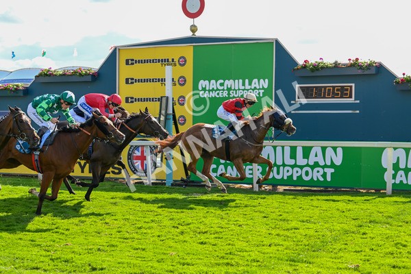 140625-Race 7-Kats Bob-3885 - Race 7 5.20pm Bosun's Restaurant Handicap