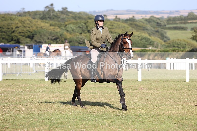 JPP_3145 - Class 21: Working Hunter 80cm