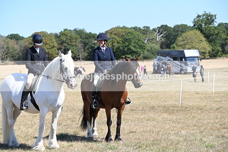 WJ6_8389 - Class 37a Best Loan Pony Ridden