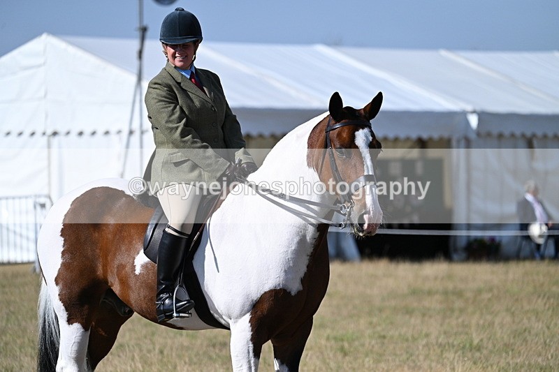 WJ7_2894 - Class 8 Ridden Tack & Turnout
