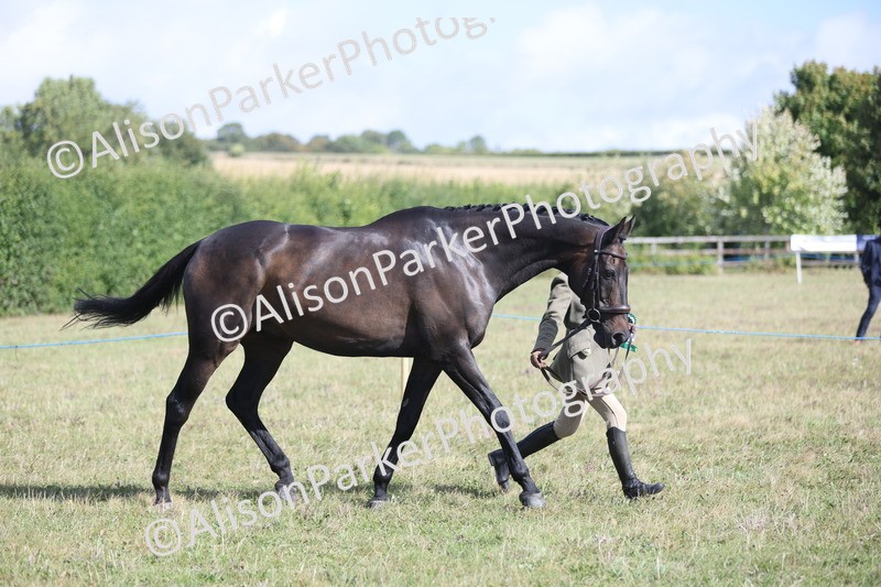 20250831-1583 - Class 21 - Inhand Open