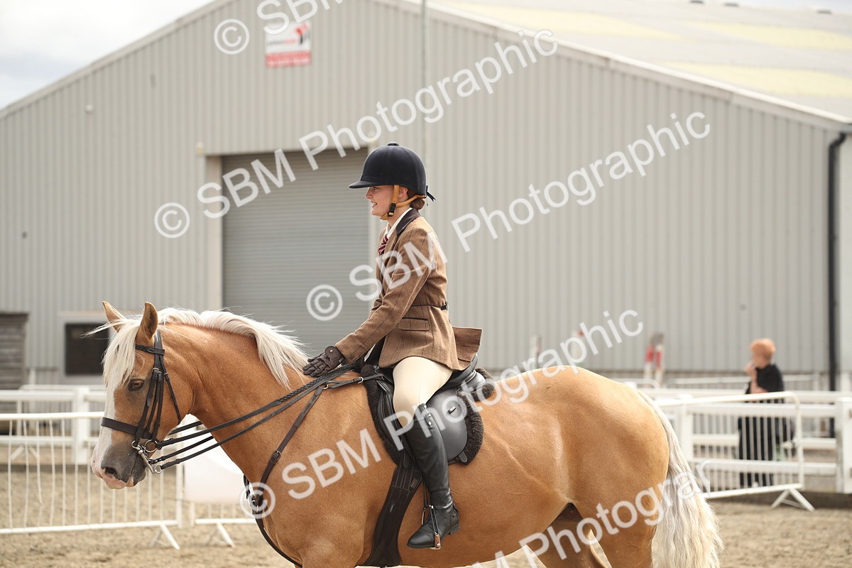 SBM_17679 - Class 508a - Working Veteran 70cm (15-19)