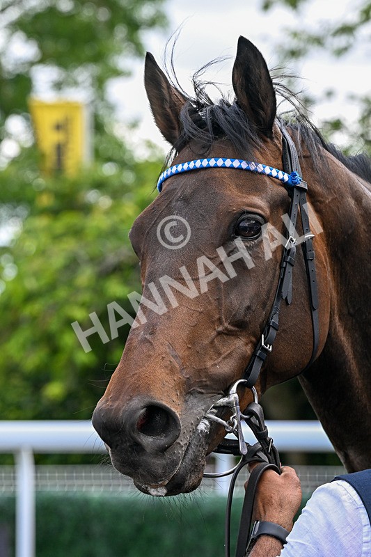 040726-Race 4-Al Aasy-4590 - Race 4 16.02pm Charlie Wood Stakes