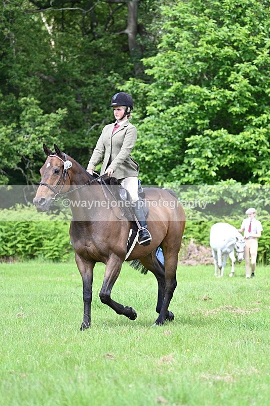 WJ7_1275 - Class 11 Condition & Turnout
