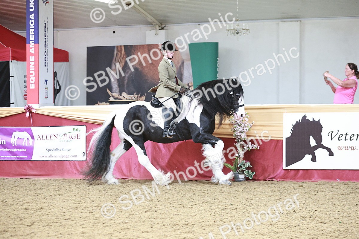 SBM_08651 - Regional Ridden Champ
