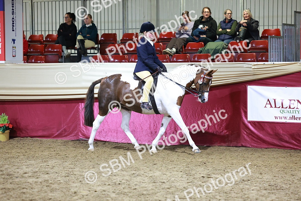 SBM_21213 - Class R - Veteran Champ