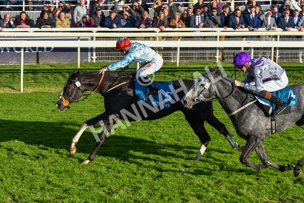 141023-Race 6-Punctuation-1511 - Race 6 4.10pm Coral Get Closer To The Action Handicap