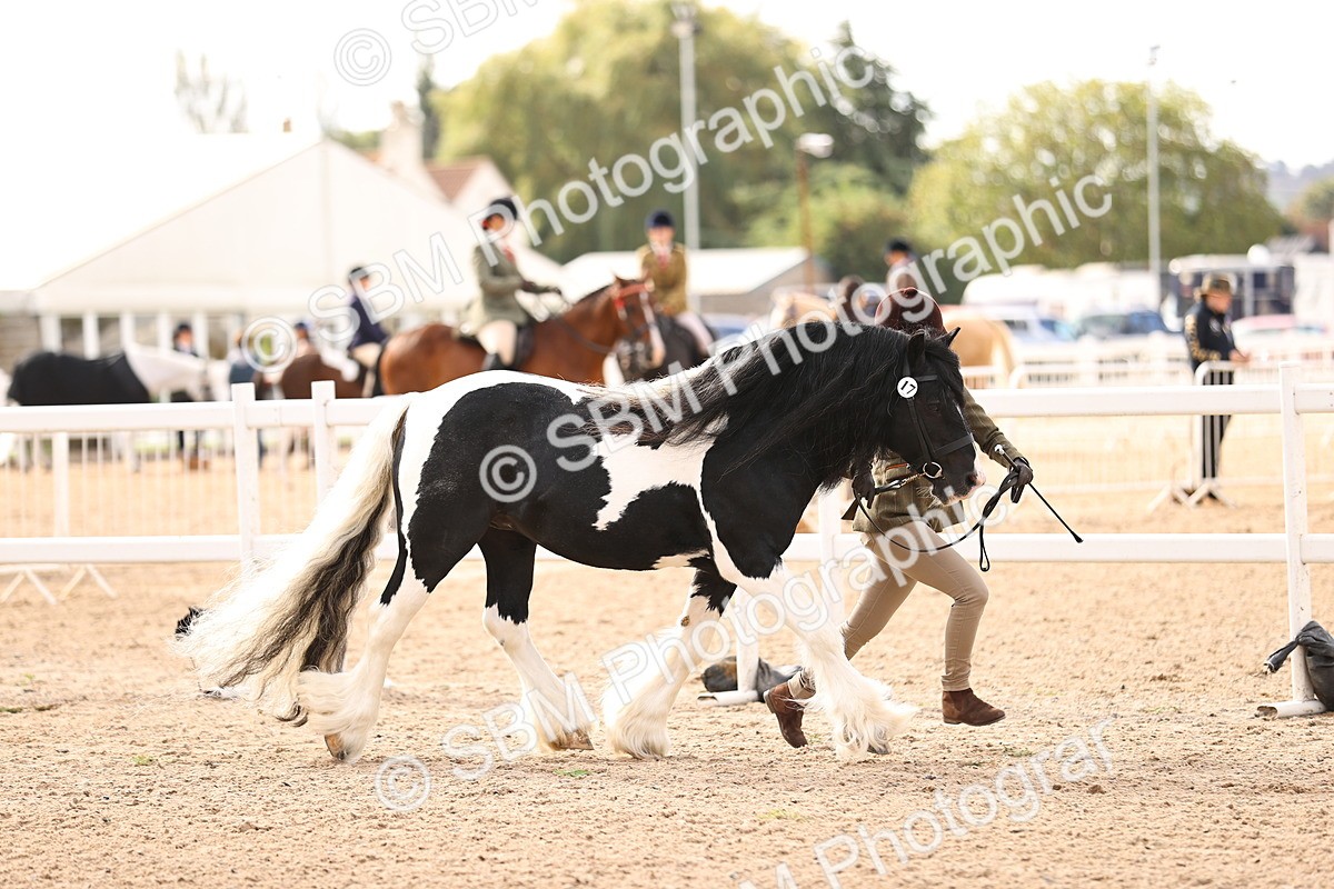 SBM_09294 - Class 404 - IH Traditional - Native Cob