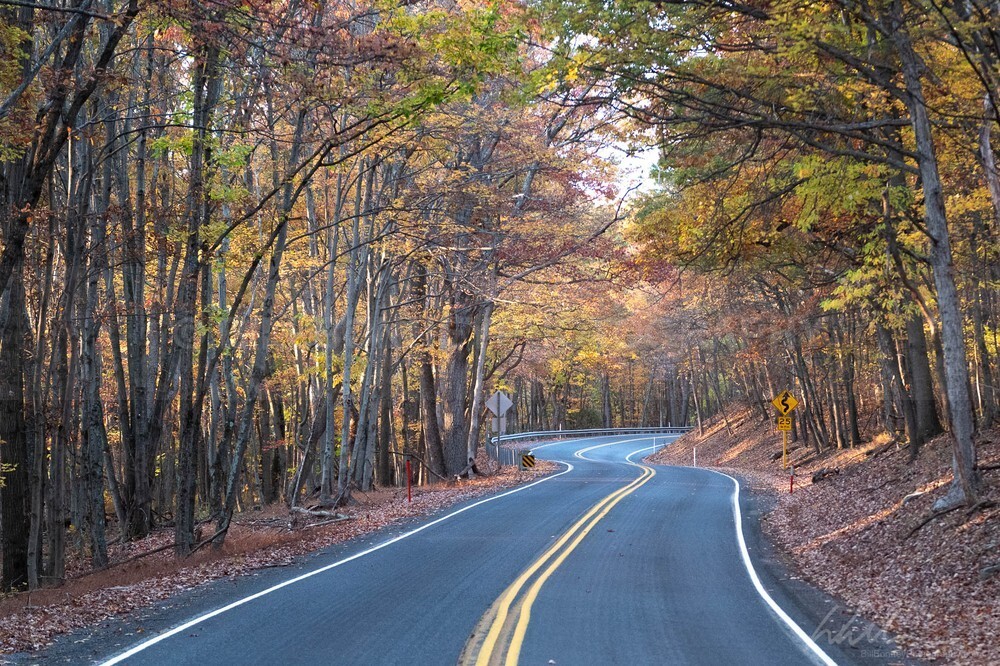 DSC_3980 - Roads