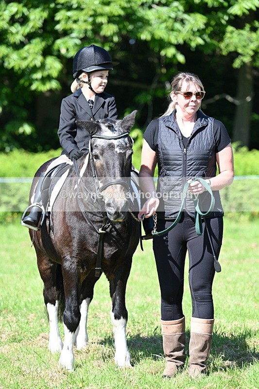 WJ7_0485 - Class 8 First Rally Pony