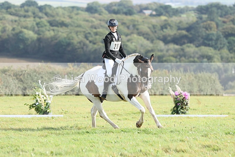 JPP_8140 - Class 2A: Trekenning Open: Dressage