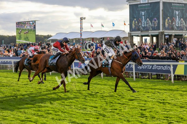 230923-Race 7-Two Brothers-5494 - Race 7 5.30pm Neil Atkinson's 60th Birthday Celebration Handicap