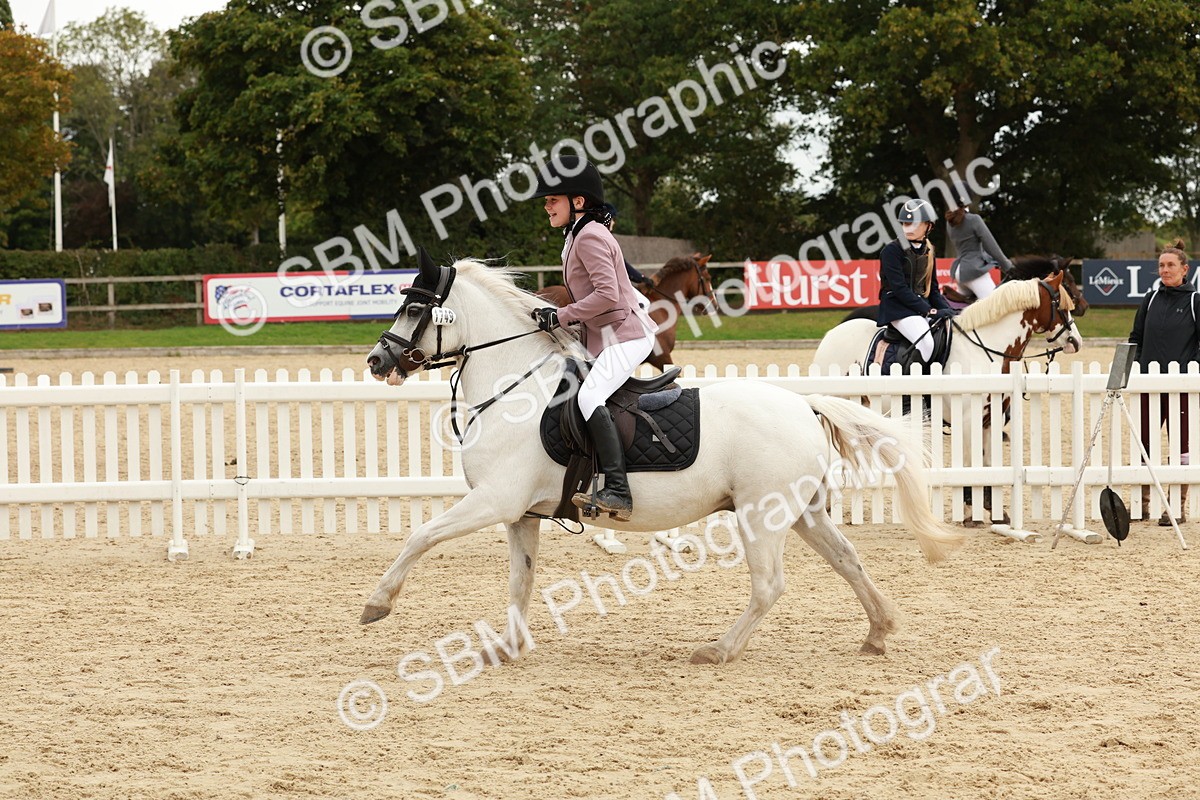 SBM_65367 - Supreme Championship 50cm & 55cm