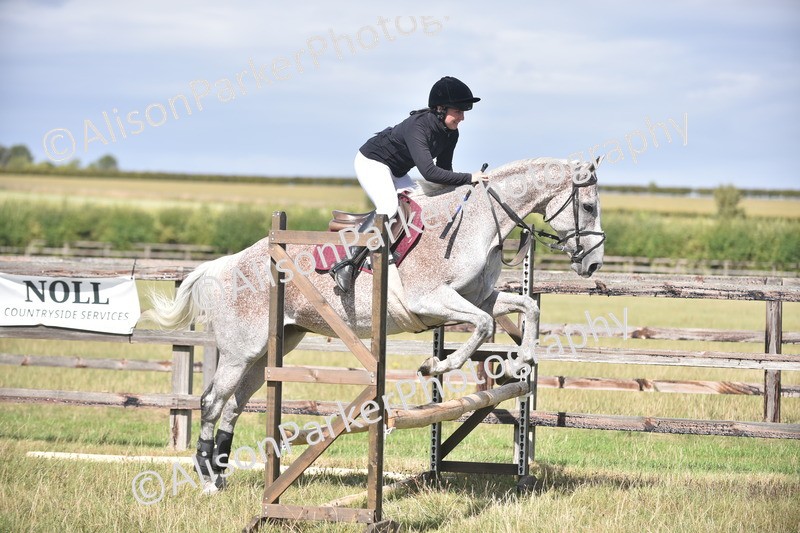 20260906-2683 - Class 13 - Working Hunter Horse or Pony