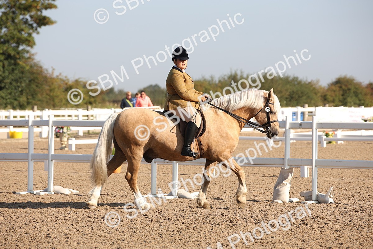 SBM_00605 - Class 14 Ridden M&M Wildcard