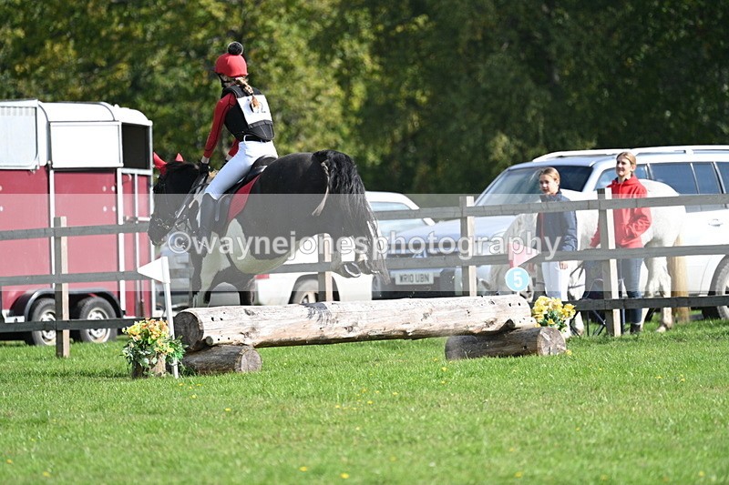 WJ7_4911 - 60cm Time 11:11 to 11:19