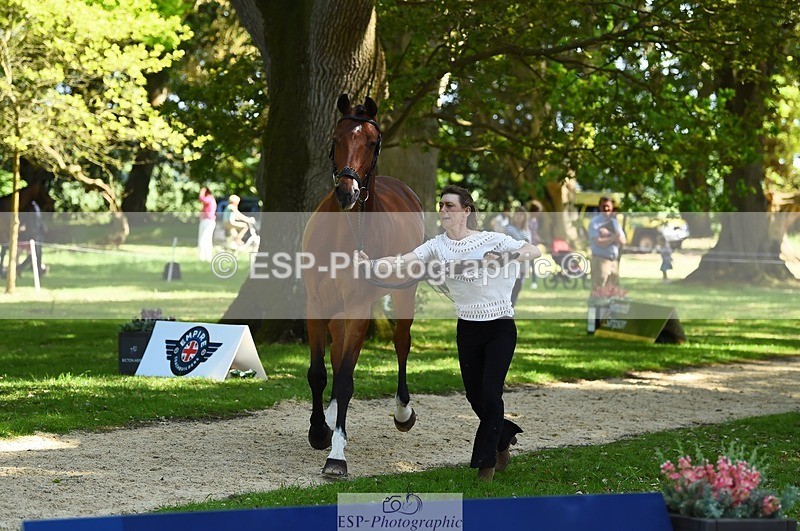 230524-154104-00435 - 367-ITAREUSO-Louisa_Lockwood-WEDTrotUp+DR