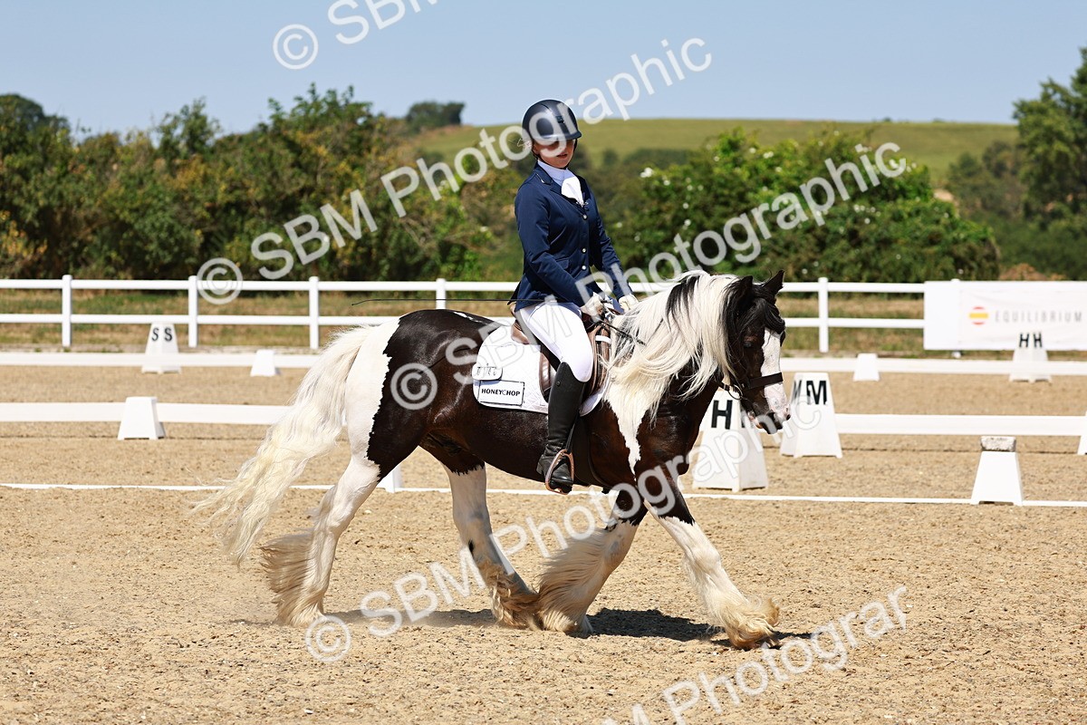 SBM_011830 - Intro 3 - 13.00-14.10