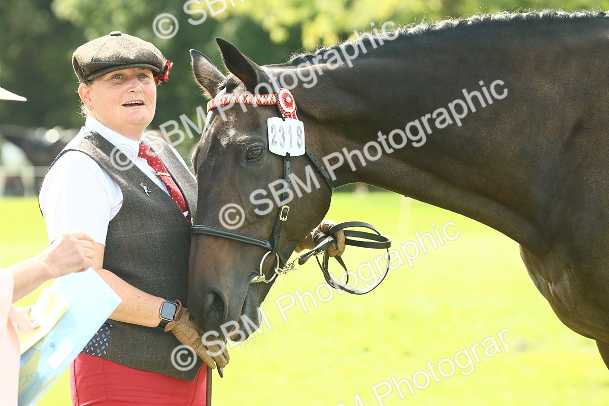 SBM_66565 - S34 - Rehabilitated Rescue Horse & Pony In Hand & Ridden
