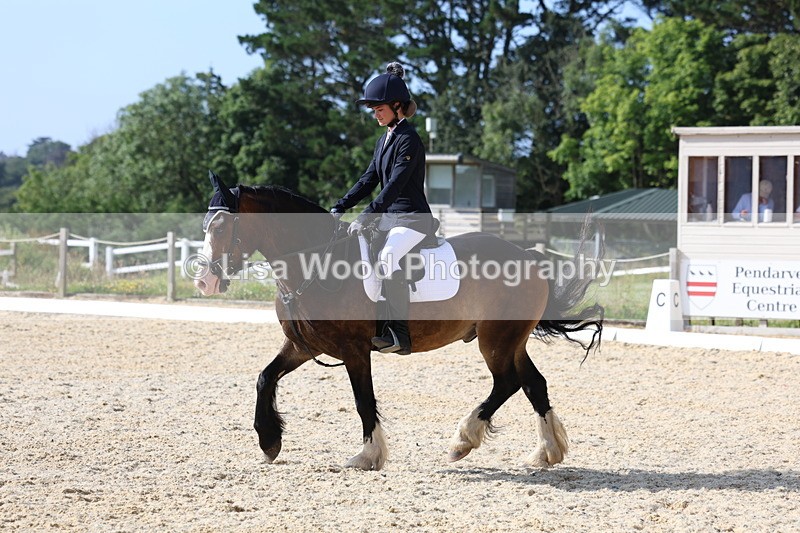 3E7A3267 - Class 1: Intro 1 2024 Section A