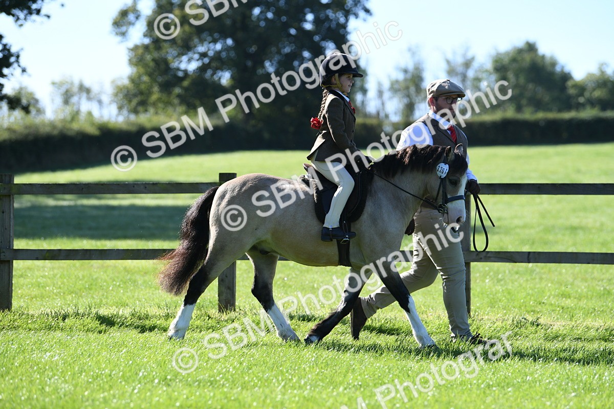 SBM_36759 - S18 - Novice & Newcomers Lead Rein Pony
