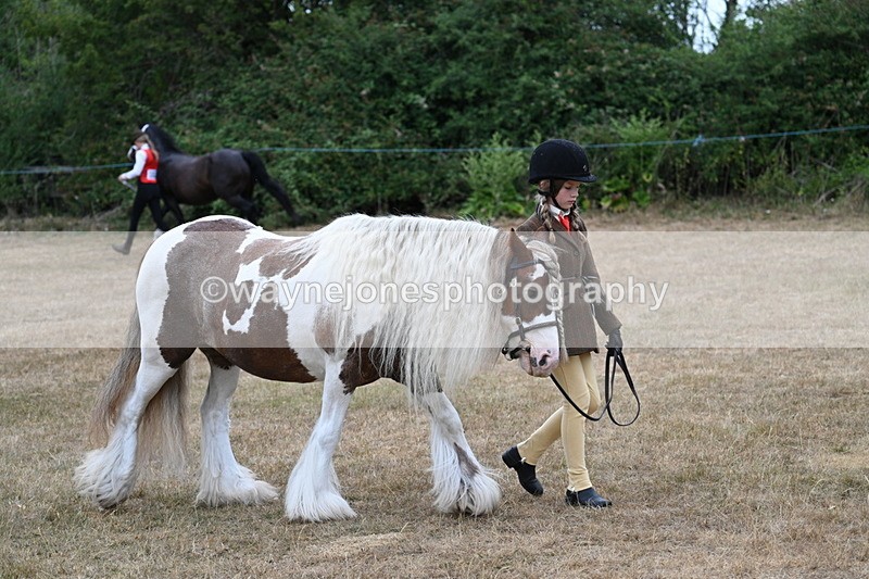 WJ7_8062 - Class 4 Prettiest Mare up to 14.2hh