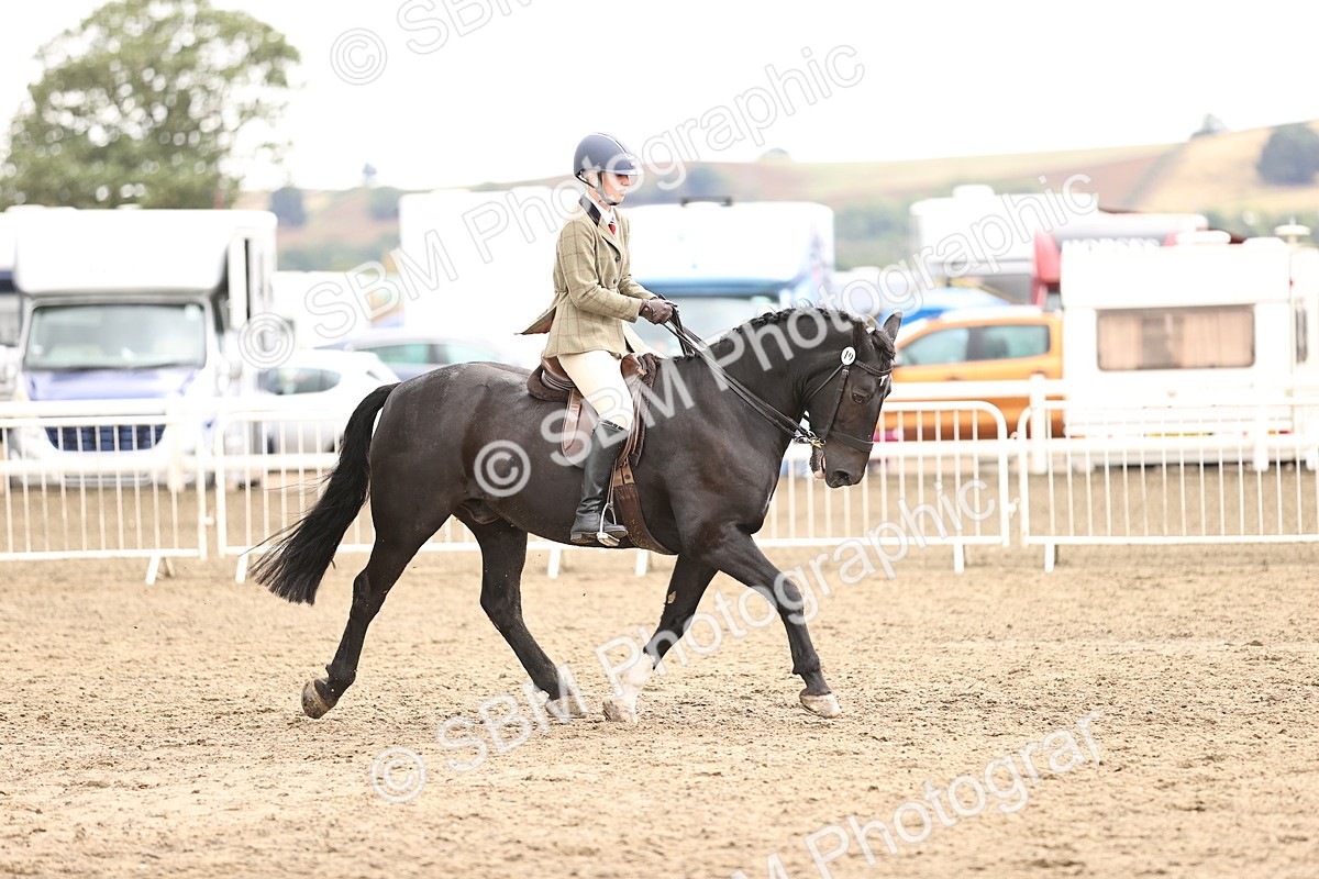 SBM_00656 - Class 53 - Ridden Competition Horse Pony