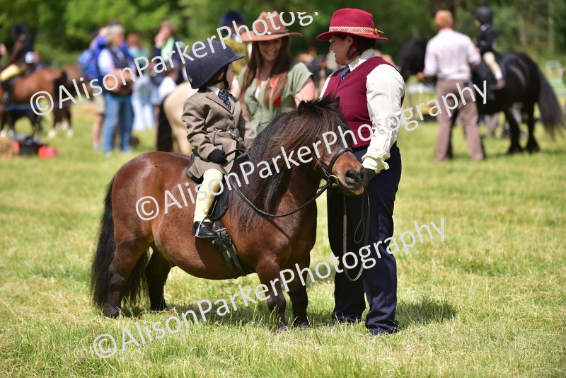 20260614-1245 - Class 11a - Lead Rein Pony (Unplaited)