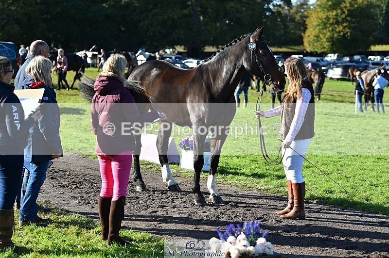 231022-104522-22718 - 483-LOPSHILL.ANNIE-Katie.Timberlake-TrotUp+SJ
