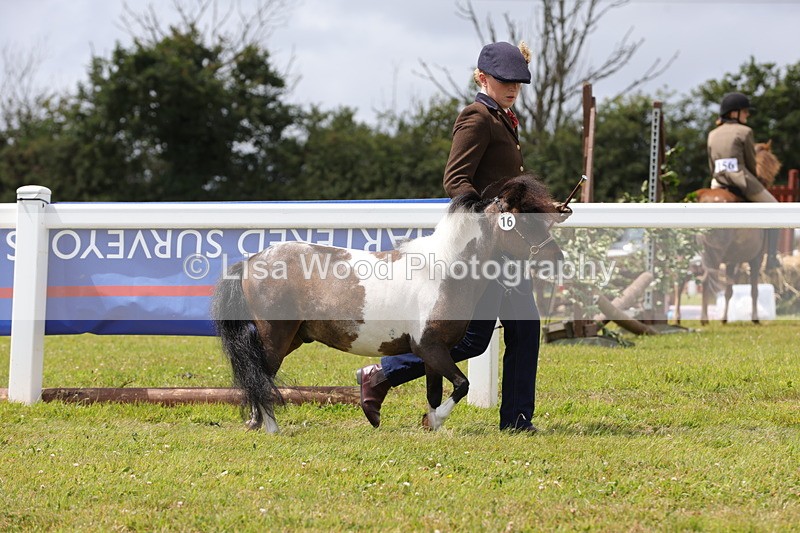 1X9A4779 - Class 35: Veteran In Hand