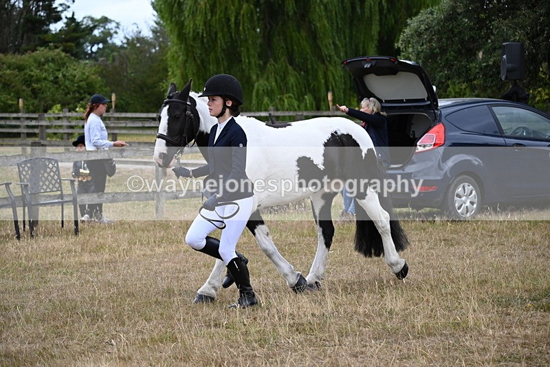 WJ6_8091 - Class 10 Coloured in Hand