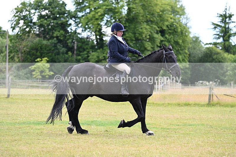 WJ7_9566 - Class 8 Ridden Veterans