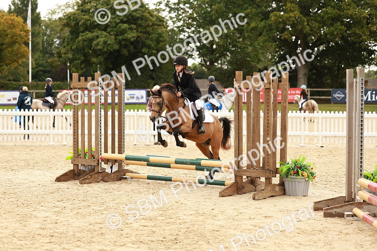SBM_57821 - J11 - Junior Pony 50cm Championship