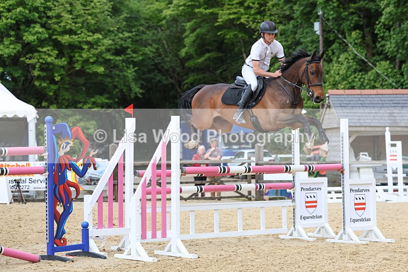 3E7A7438 - Class 8: Senior Foxhunter/1.20 open