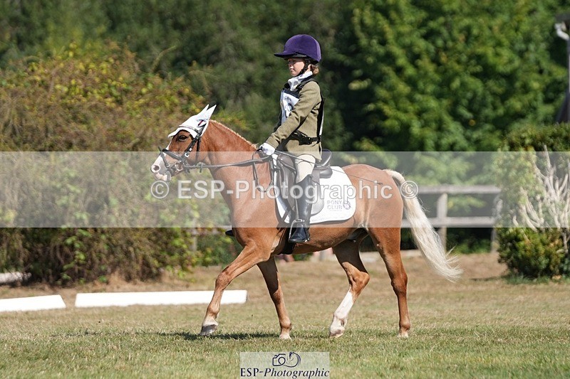 250823A-104900-28126 - Arena A