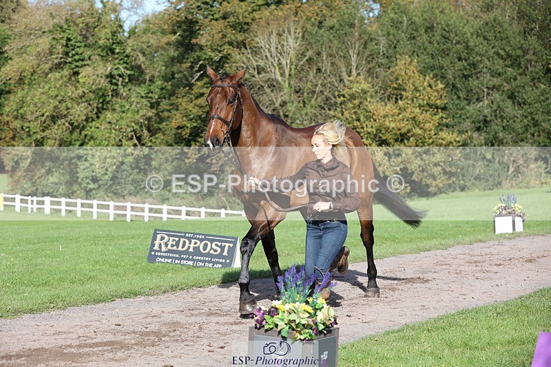 241027-103156-15947 - 582-Courtney.Romcke-JD.ON.THE.ROCKS