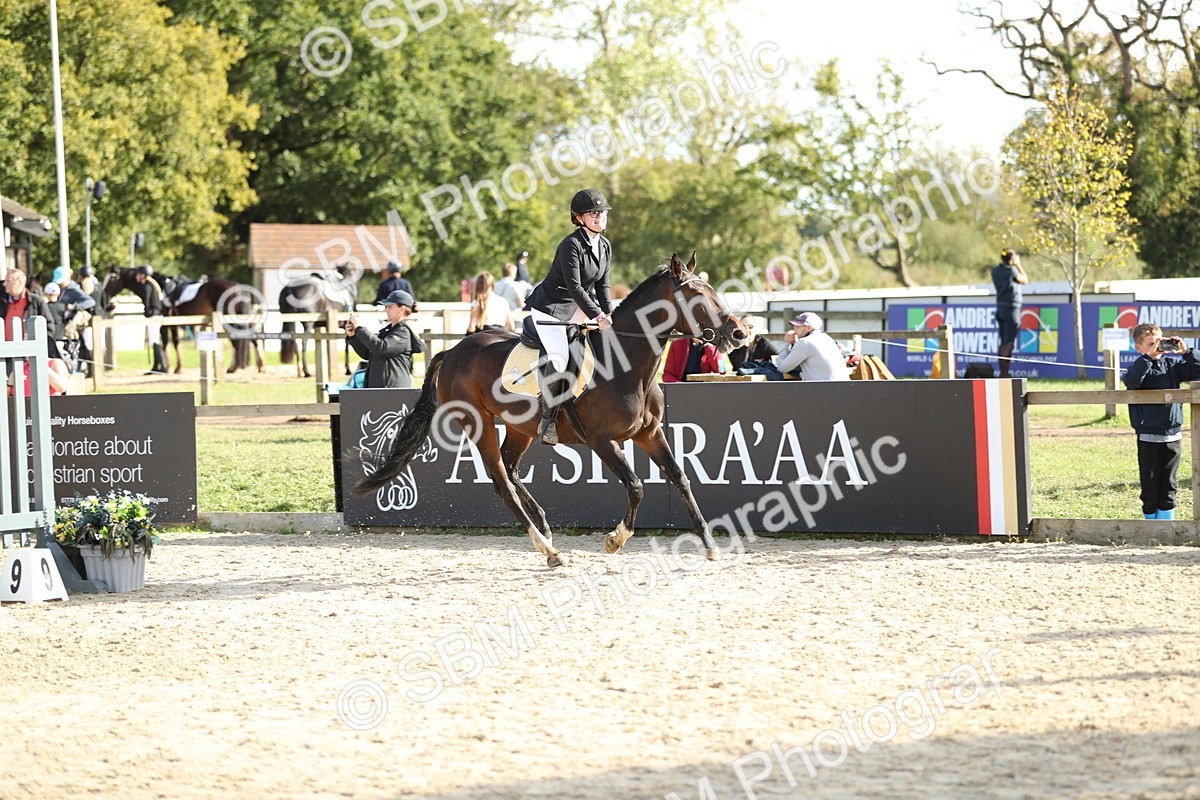 SBM_49677 - J22 - Junior Horse 65cm Championship