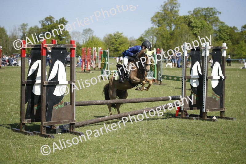 20250427-2115 - Class 13 - Novice Jumping 60cm
