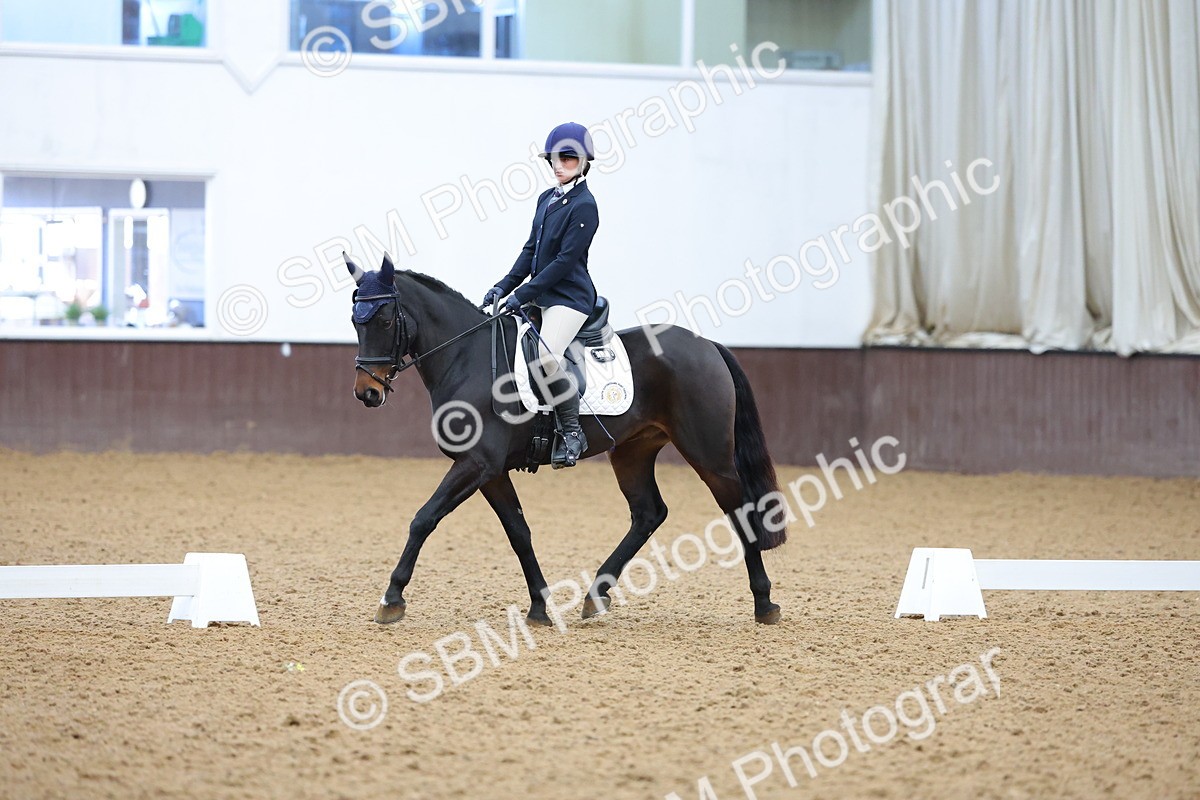 SBM_003109 - Novice