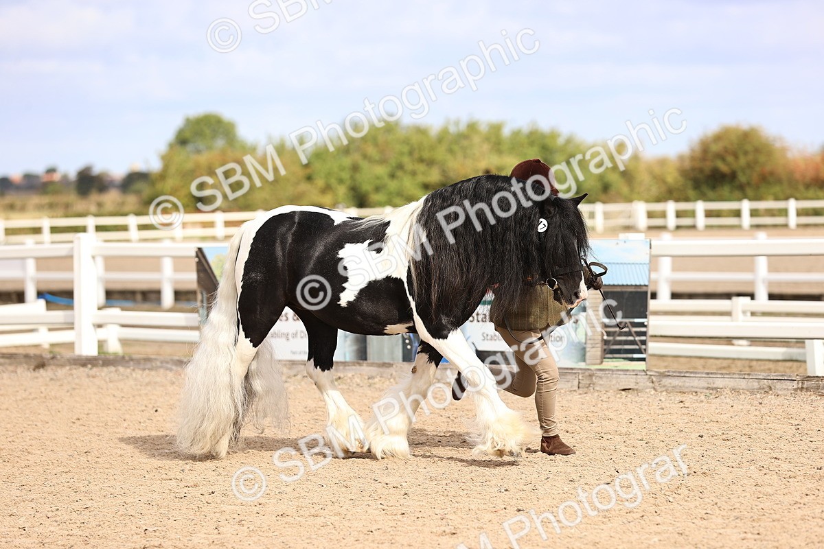 SBM_09332 - Class 404 - IH Traditional - Native Cob