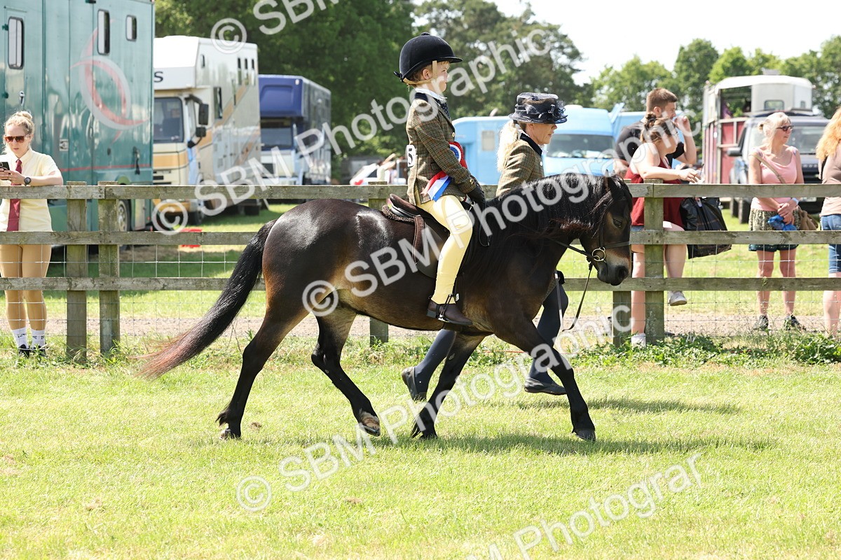 SBM_05429 - Class 24-25 - Mountain & Moorland In Hand Lead Rein and First Ridden